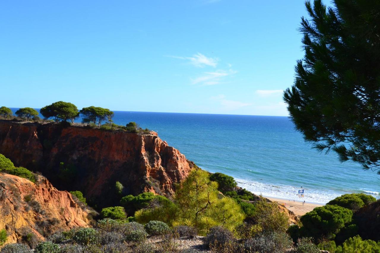 T0 Junto A Praia De Vale Centeanes / Carvoeiro Lagoa  Exterior photo